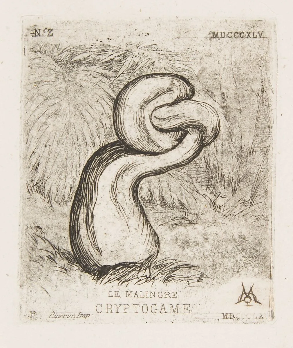 The puny Cryptogamia — Charles Meryon