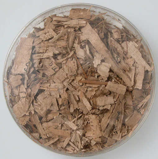 Papyri Fragments