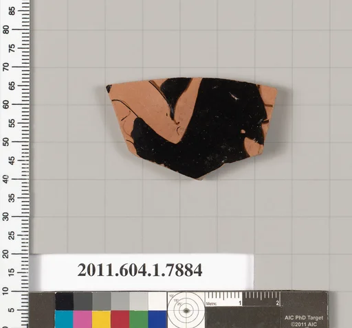 Terracotta fragment of a kylix (drinking cup)