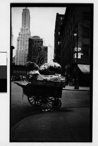 [Flower Cart, New York City]