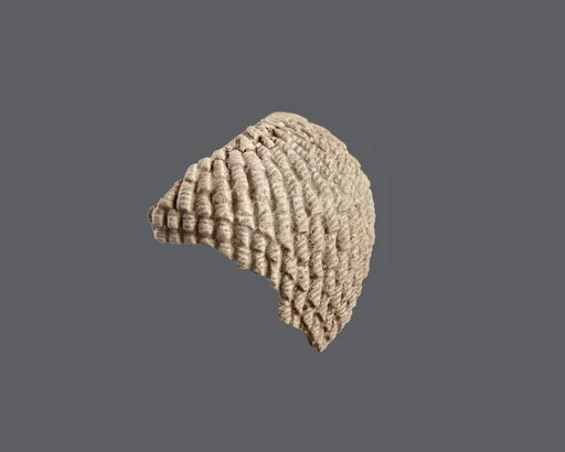 Wig fragment