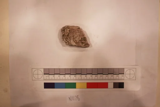 Stucco Fragment