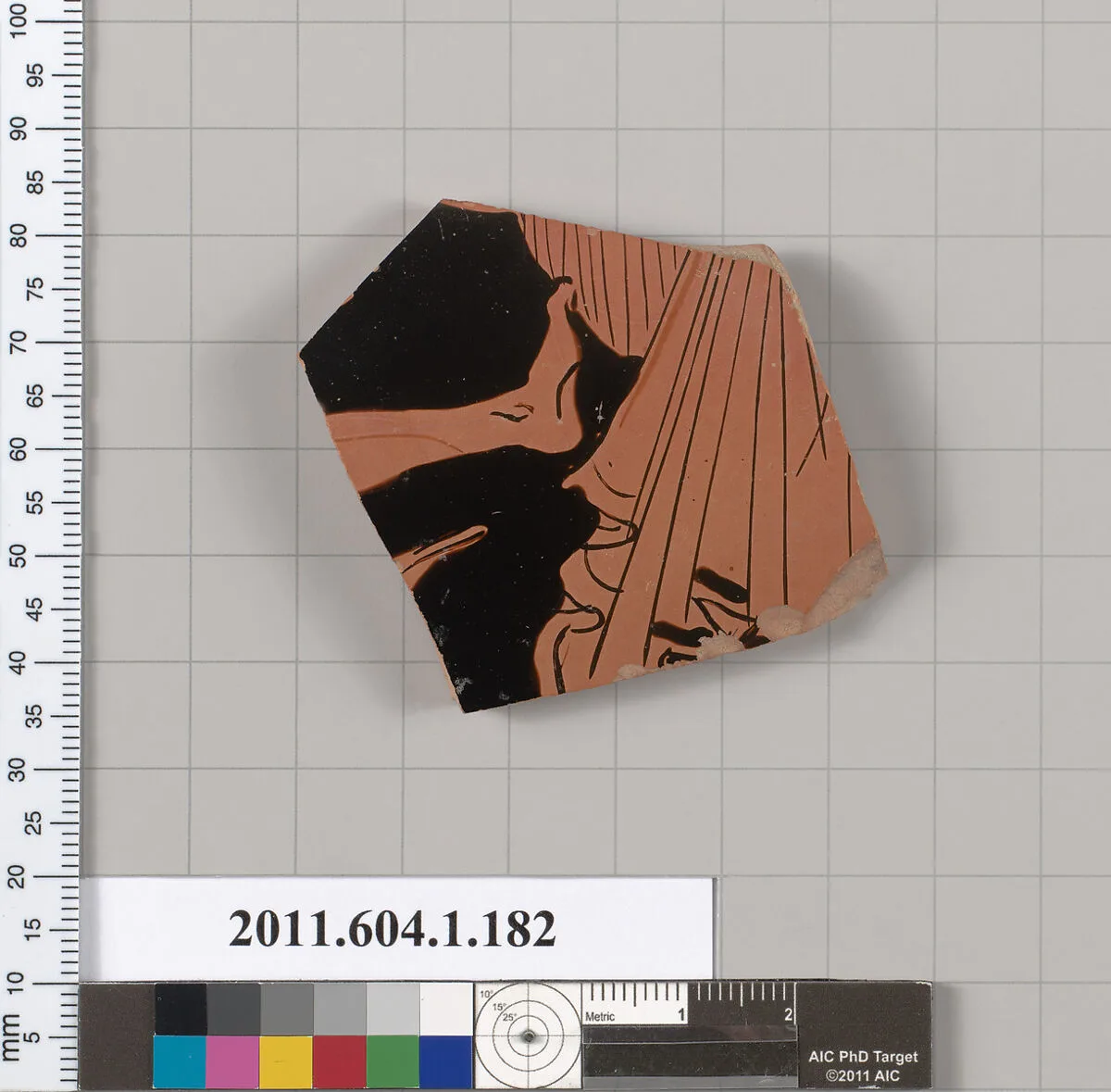 Terracotta fragment of a kylix (drinking cup) — Unknown