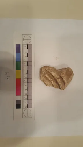 Stucco Fragment