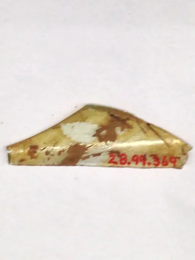 Fragment