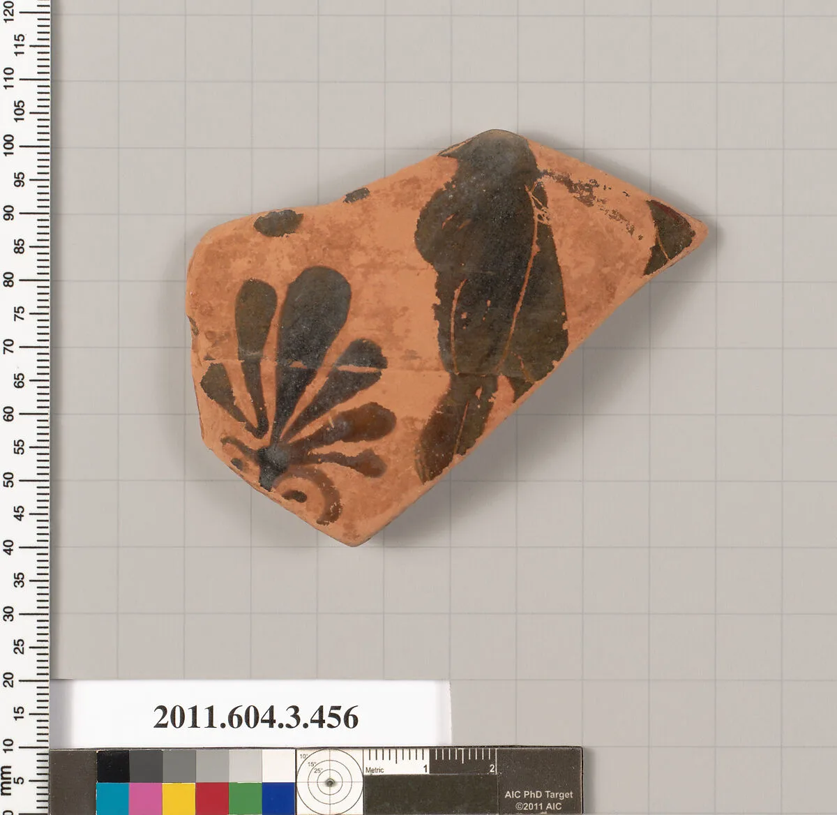 Terracotta fragment of a neck-amphora (jar) — Unknown