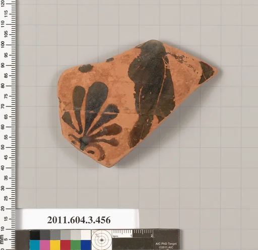 Terracotta fragment of a neck-amphora (jar)