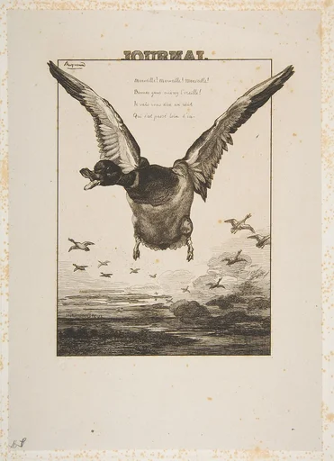 Le Canard