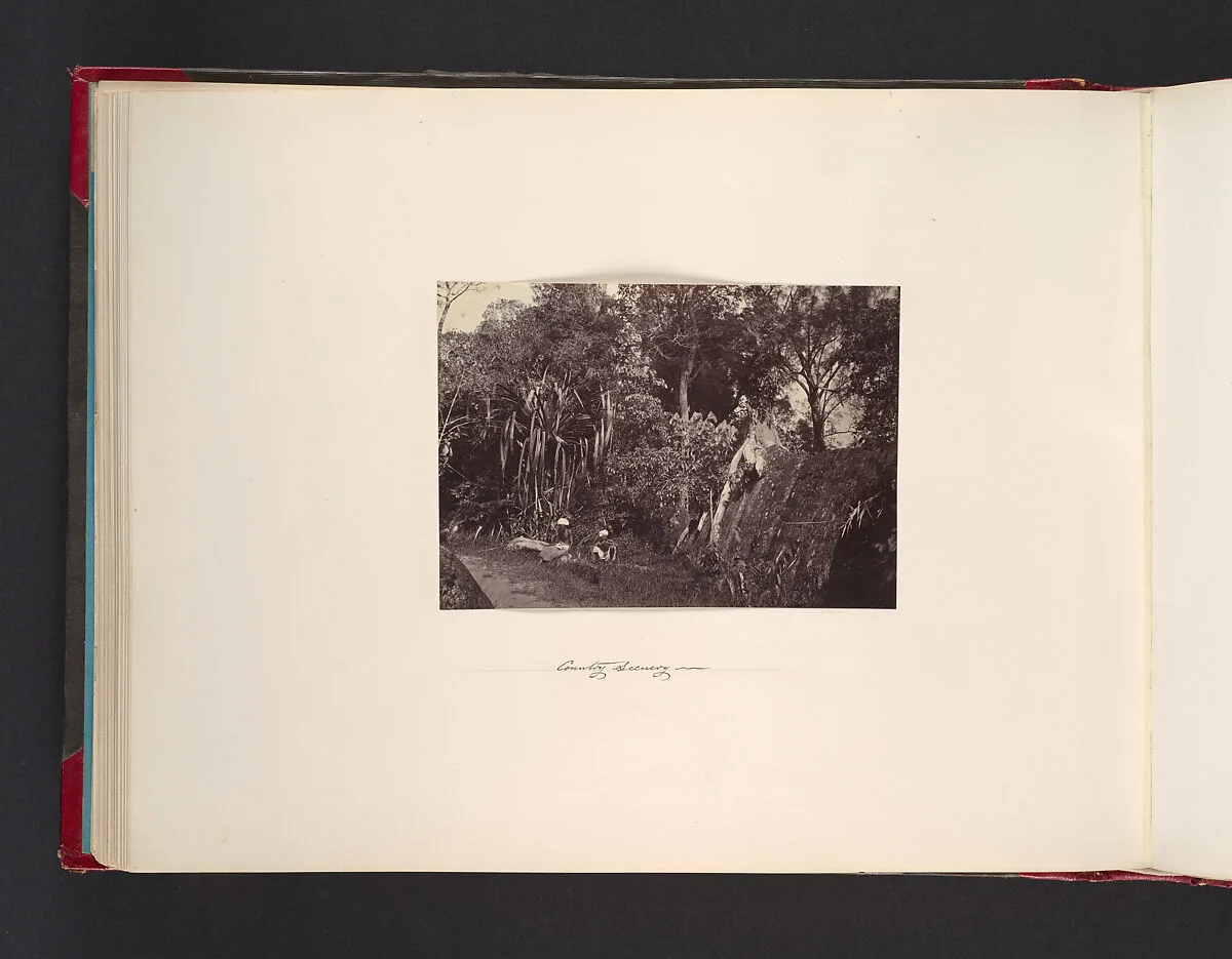 Country Scenery — John Thomson