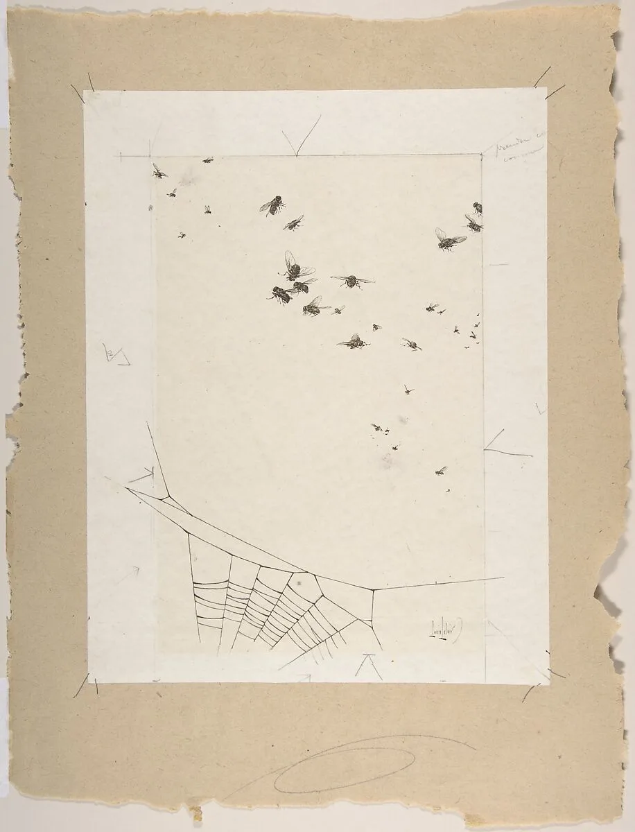 A Swarm of Flies above a Spider's Web — Alexandre-Louis Leloir