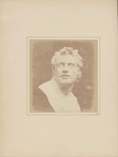 Bust of Patroclus