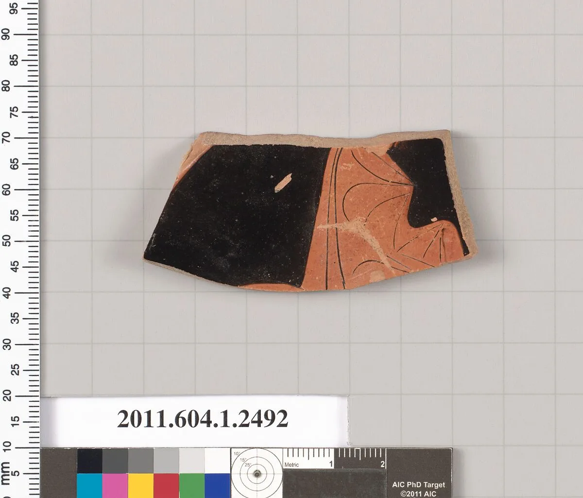 Terracotta fragment of a kylix (drinking cup) — Unknown