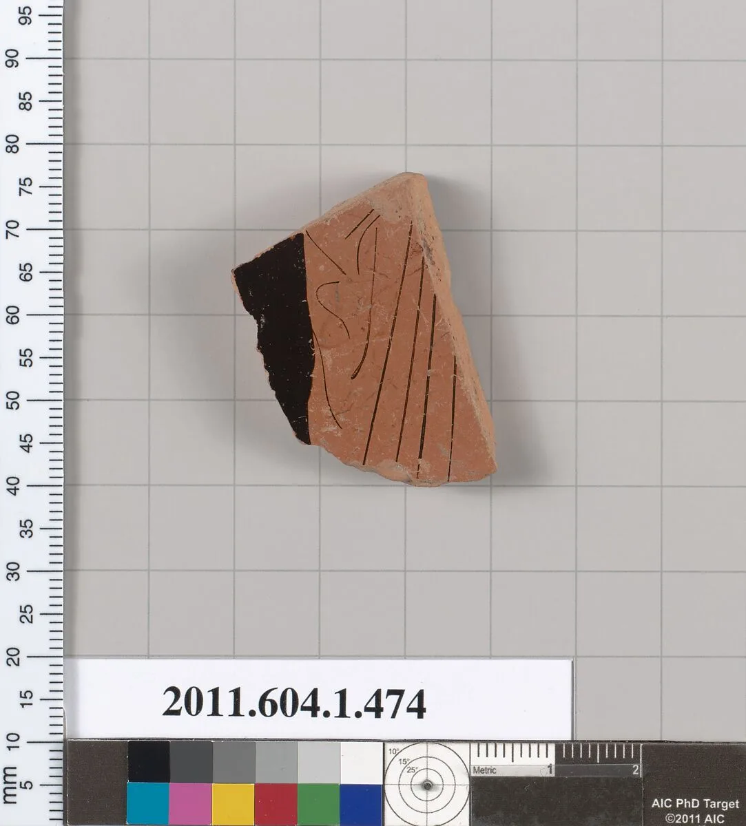 Terracotta fragment of a kylix (drinking cup) — Unknown