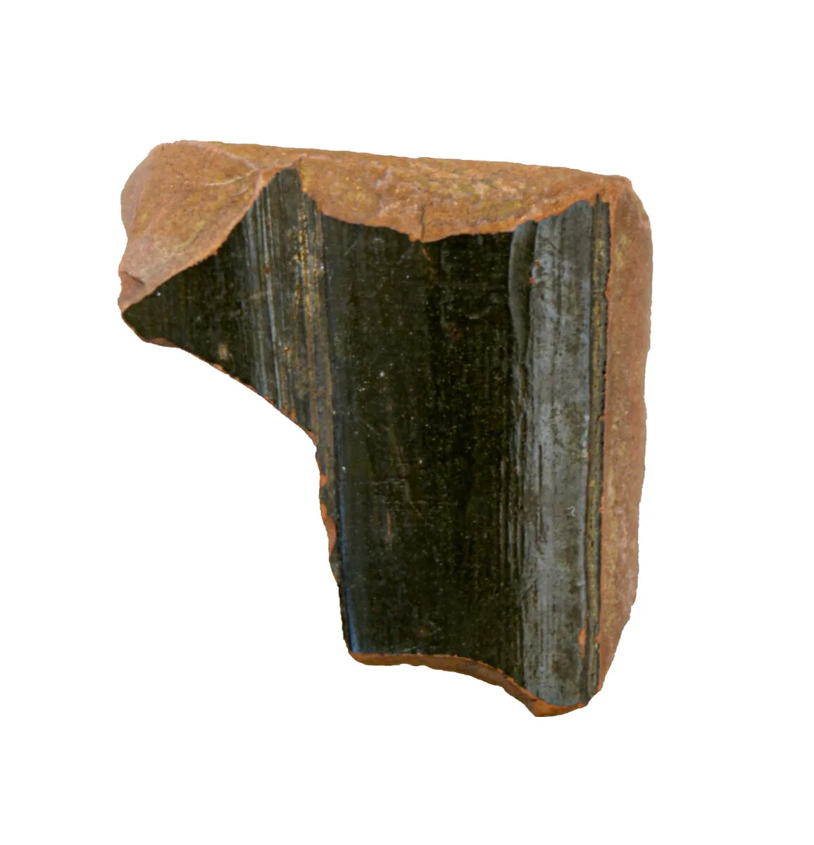 Volute-krater fragment — Unknown