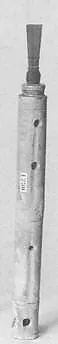Tibia — Unknown