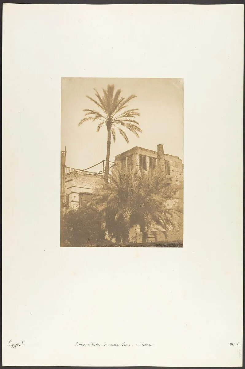 Dattiers et Maison du quartier Franc, au Kaire — Maxime Du Camp