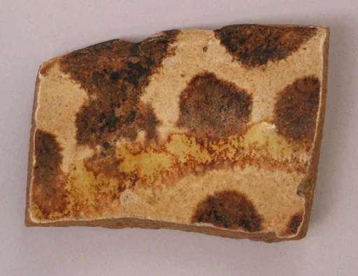Fragment