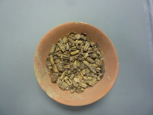Bowl of Dates
