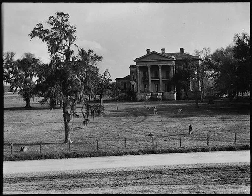 [Belle Grove Plantation, White Castle, Louisiana]