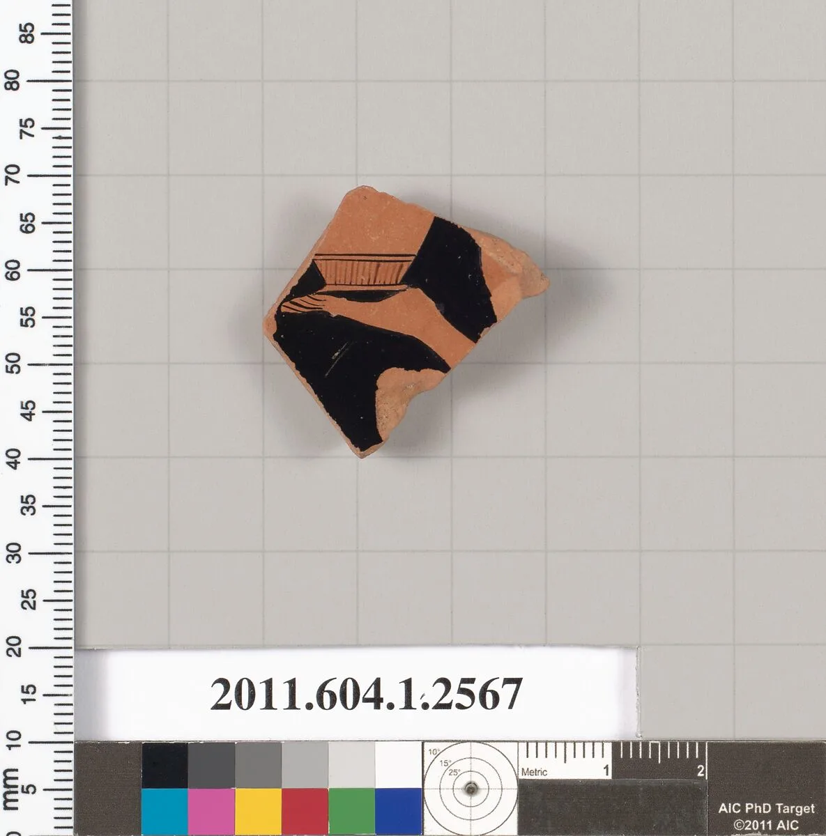 Terracotta fragment of a kylix (drinking cup) — Unknown