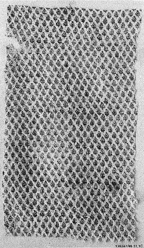 Textile Fragment