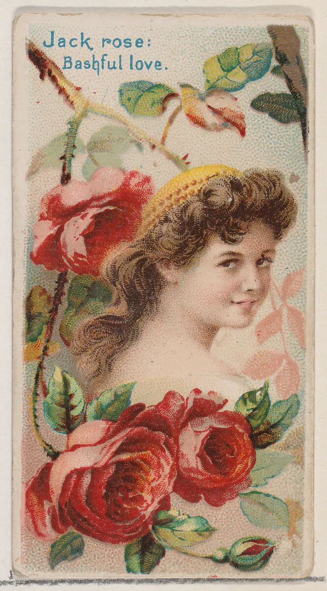 Jack Rose: Bashful Love, from the series Floral Beauties and Language of Flowers (N75) for Duke brand cigarettes — Donaldson Brothers|American Tobacco Company