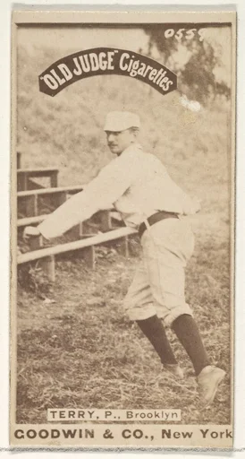 Terry, Pitcher, Brooklyn, from the Old Judge series (N172) for Old Judge Cigarettes