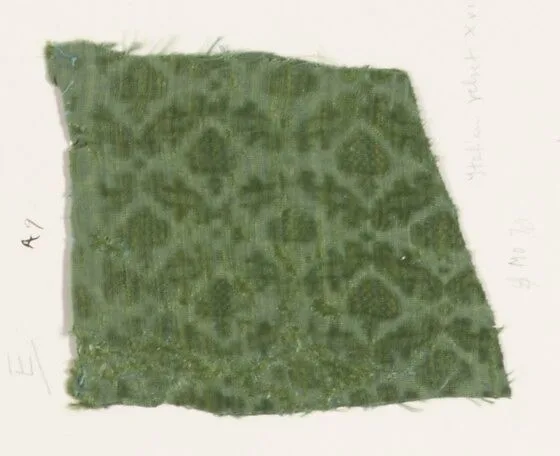 Fragment — Unknown