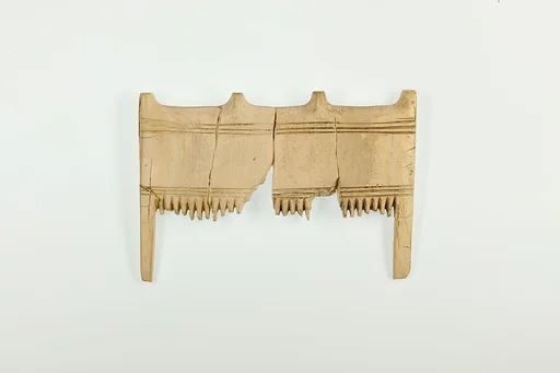 Comb