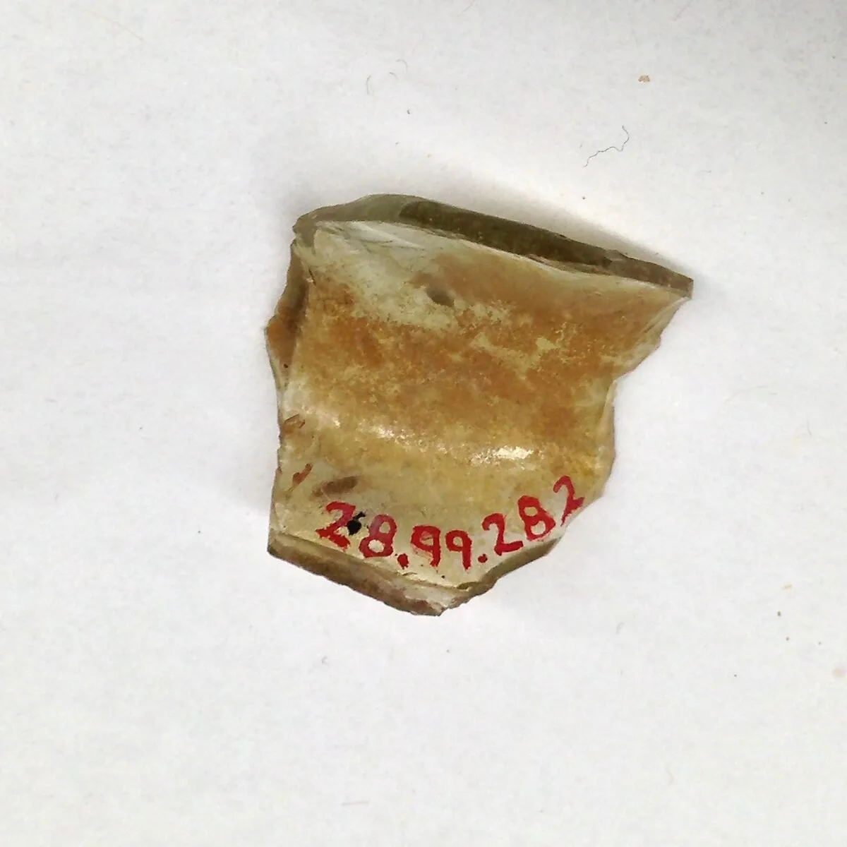 Fragment — Unknown