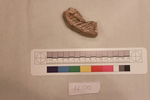 Stucco Fragment