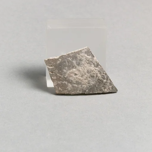 Vase fragment