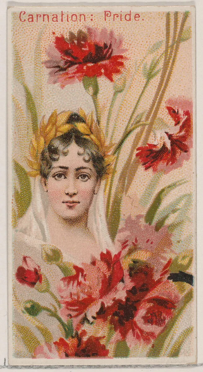Carnation: Pride, from the series Floral Beauties and Language of Flowers (N75) for Duke brand cigarettes — Donaldson Brothers|American Tobacco Company