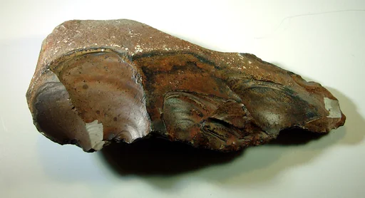 Biface, commonly referred to as a hand ax