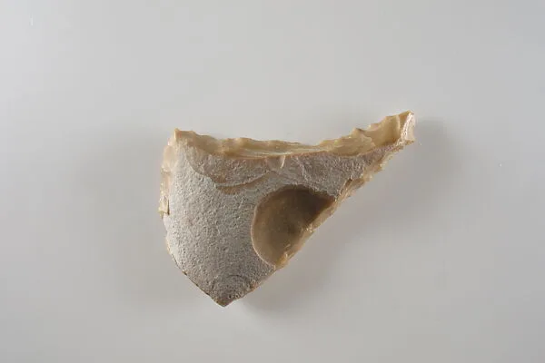 Sickle Insert — Unknown