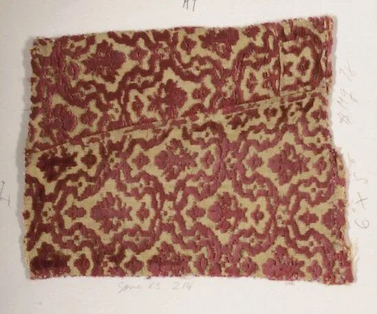 Fragment — Unknown