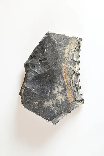 Sickle Insert Fragment