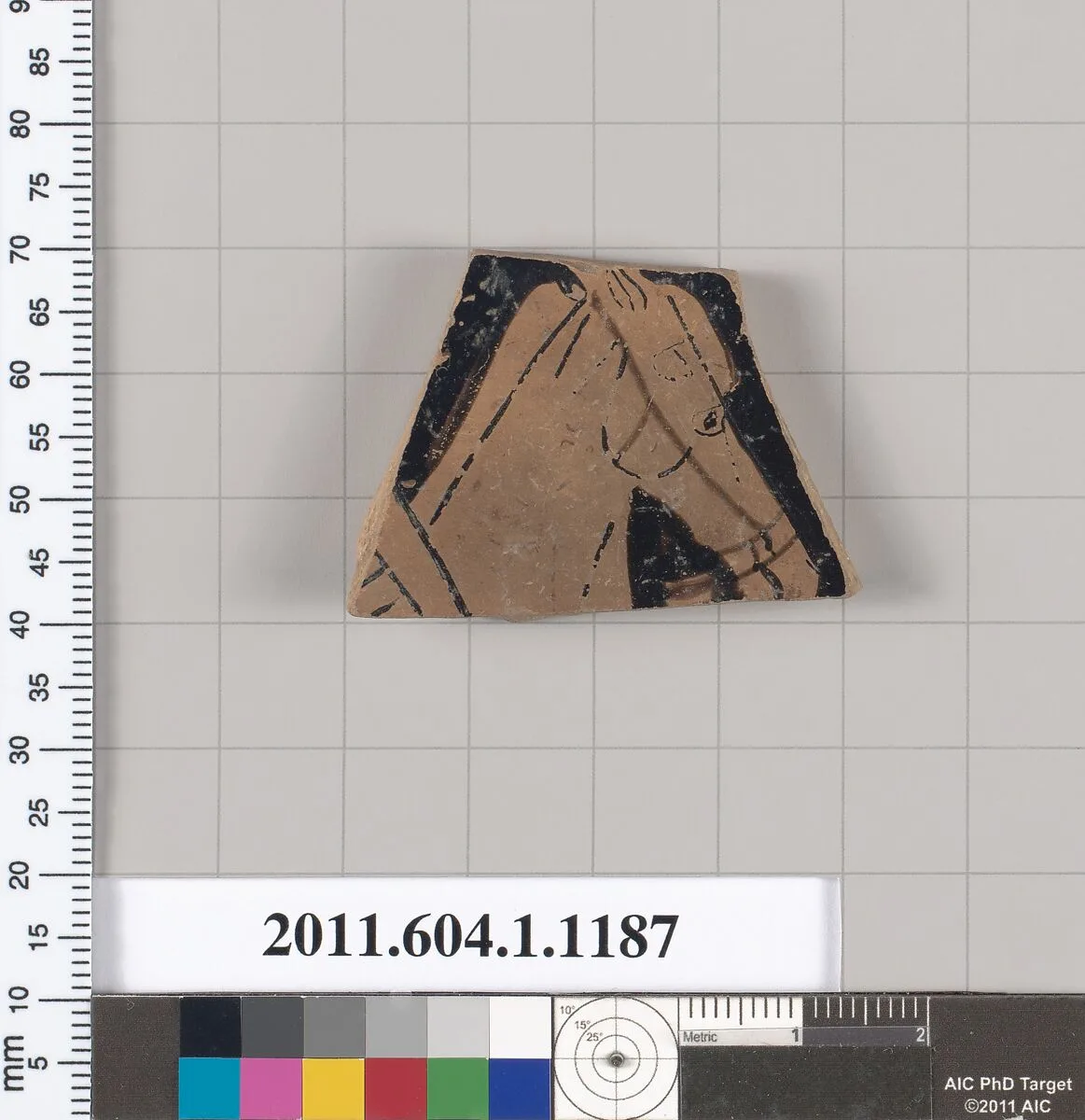 Terracotta fragment of a kylix (drinking cup) — Unknown