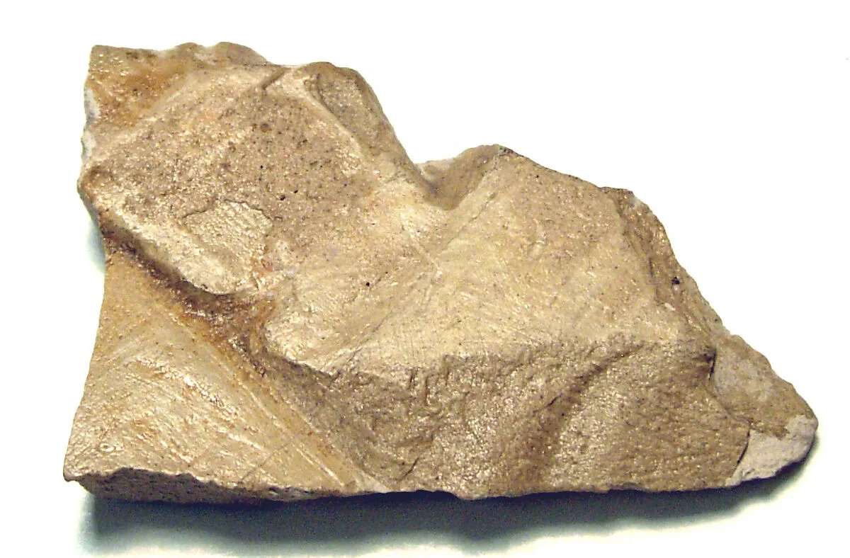 Raised relief fragment — Unknown