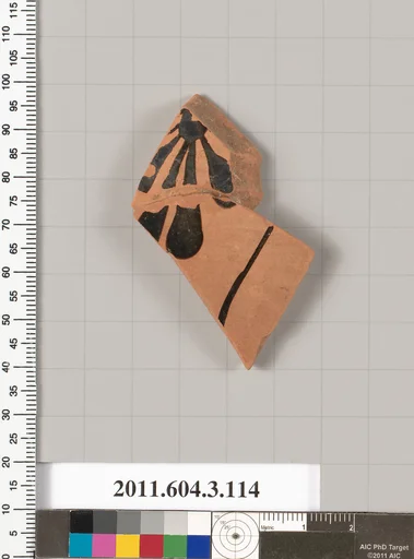 Terracotta fragment of an amphora (jar)