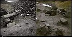 Untitled (Zig-Zag Mirror Displacement)