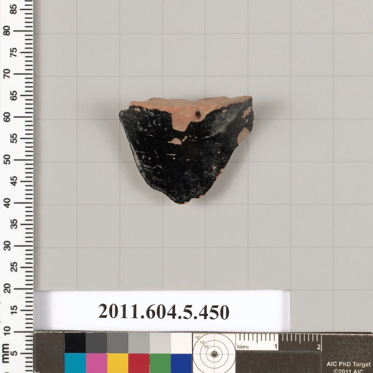 Terracotta fragment of a kylix (drinking cup) — Unknown