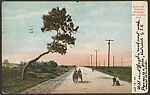 Lynn and Nahant Roadway. The Half-way Tree.