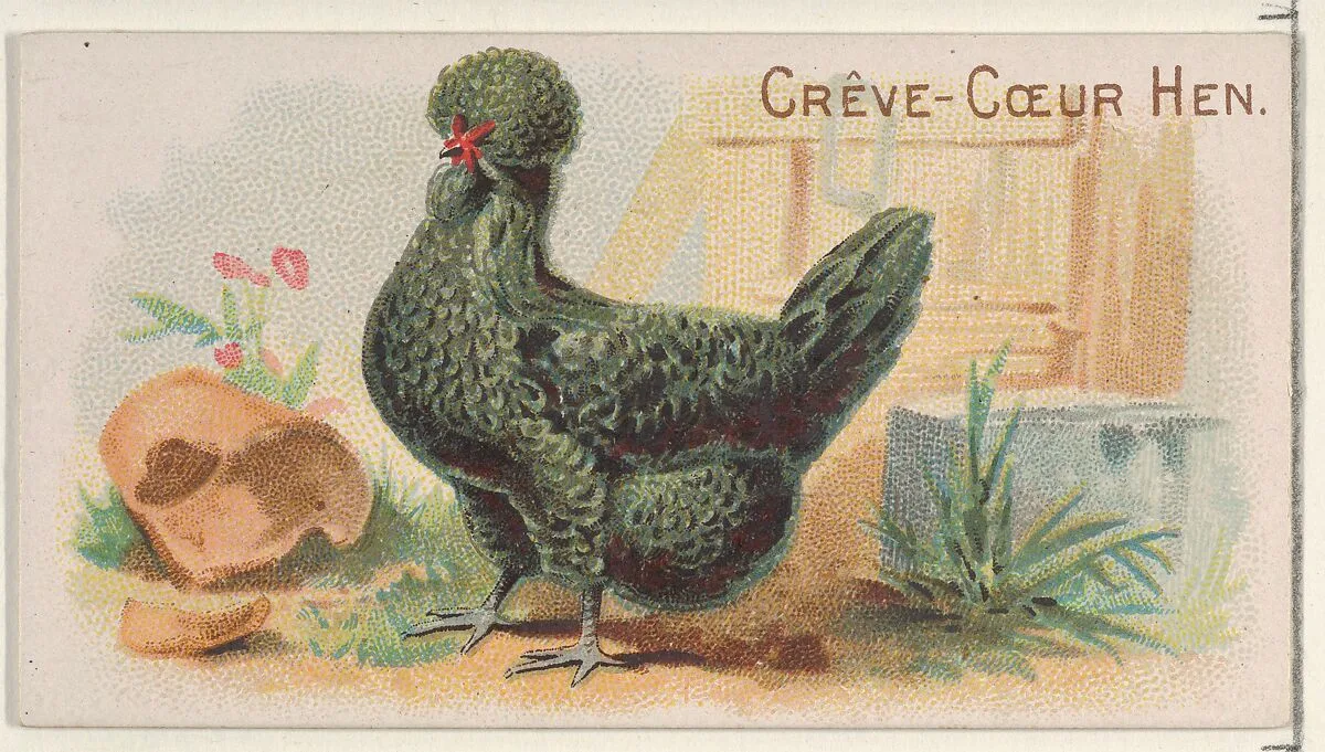 Crève-Cœur Hen, from the Prize and Game Chickens series (N20) for Allen & Ginter Cigarettes — Allen & Ginter|The Gast Lithograph & Engraving Company