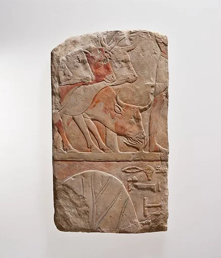 Cast of Hatshepsut's Punt Reliefs: Reception in Punt