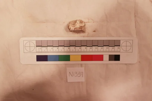 Stucco Fragment