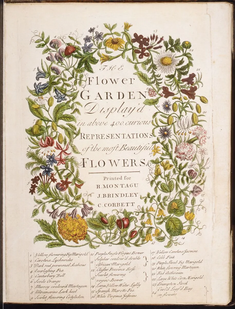 The Flower-Garden Display'd, In Above Four Hundred Curious Representations Of the Most Beautiful Flowers; Regularly Dispos'd in the Respective Months of Their Bloom — Robert Furber|R. Montagu|J. Brindley|C. Corbett|James Smith|Peter Casteels|Richard Bradley