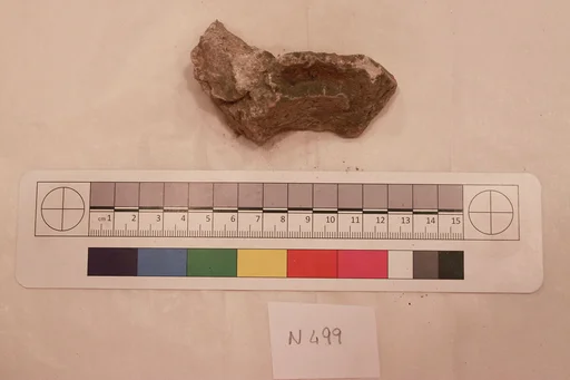 Stucco Fragment