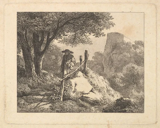 A Shady Enclosure of Trees