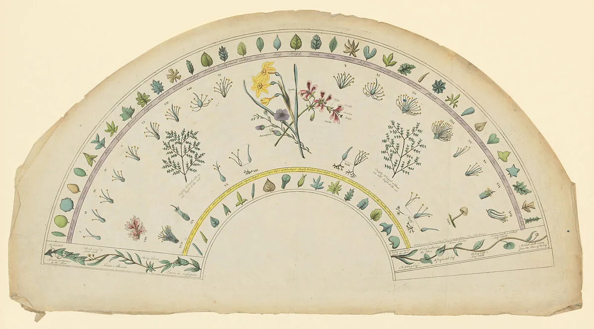 Fan leaf adorned with botanical designs — Sarah Ashton|Anonymous, British, 18th century